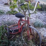 Frost Garden Bike